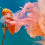 Профессиональный анализ слота Chilli Heat Megaways